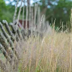 Uue-hallikivi Talu Seoska kuća Malvaste