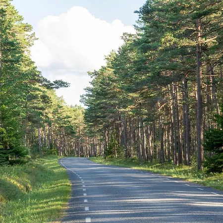 Uue-hallikivi Talu