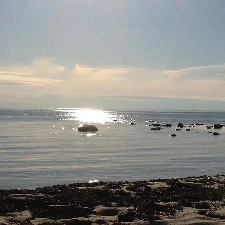 Uue-hallikivi Talu *