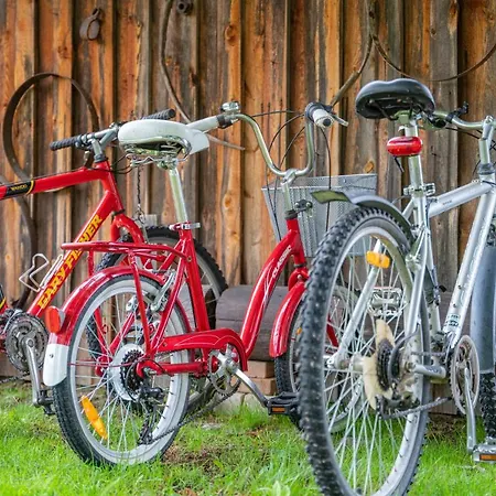 Uue-hallikivi Talu Venkovský dům