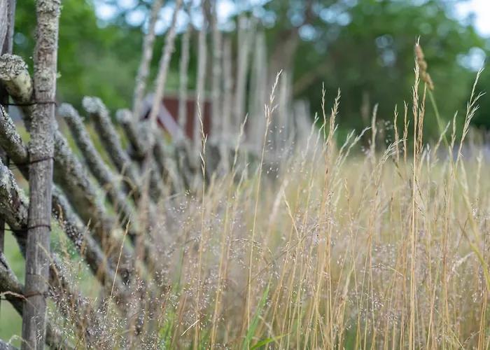 Uue-hallikivi Talu Landsted Malvaste