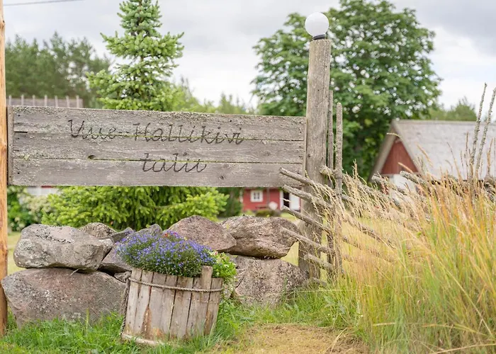 Uue-hallikivi Talu *