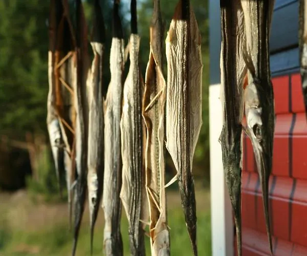 Seoska kuća Uue-hallikivi Talu Malvaste