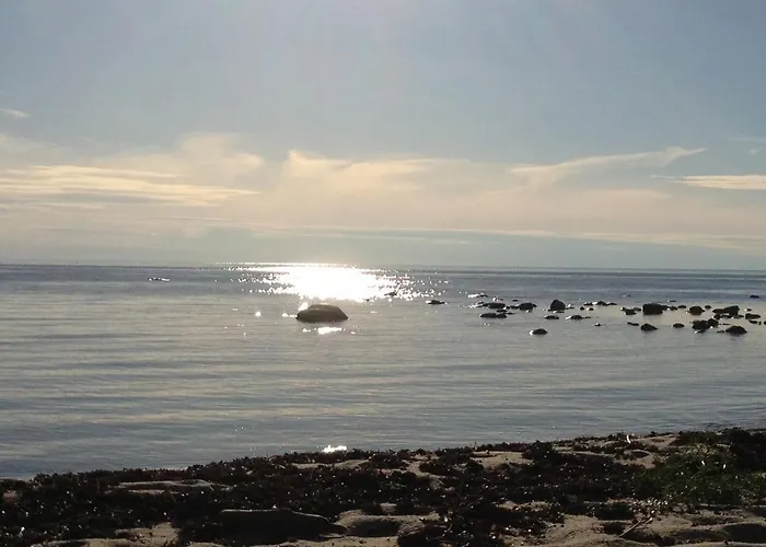 Uue-hallikivi Talu *